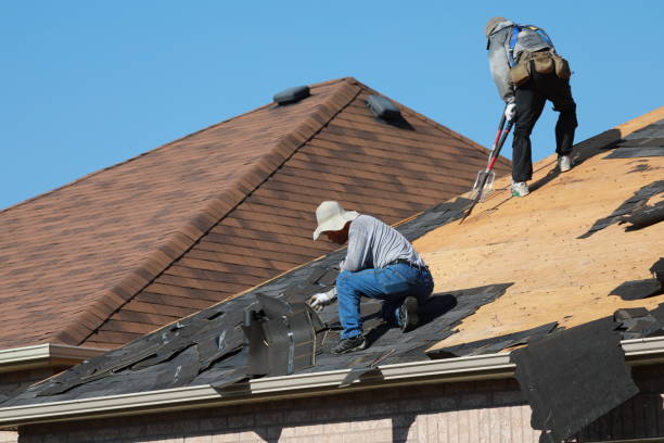 Best Roof Moss and Algae Removal  in Mcconnellstown, PA
